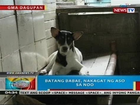 nag pakantot sa aso